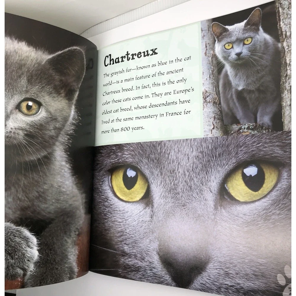 I Love: Cats and Kittens by Alderton, David (2014) Paperback Information Book‎